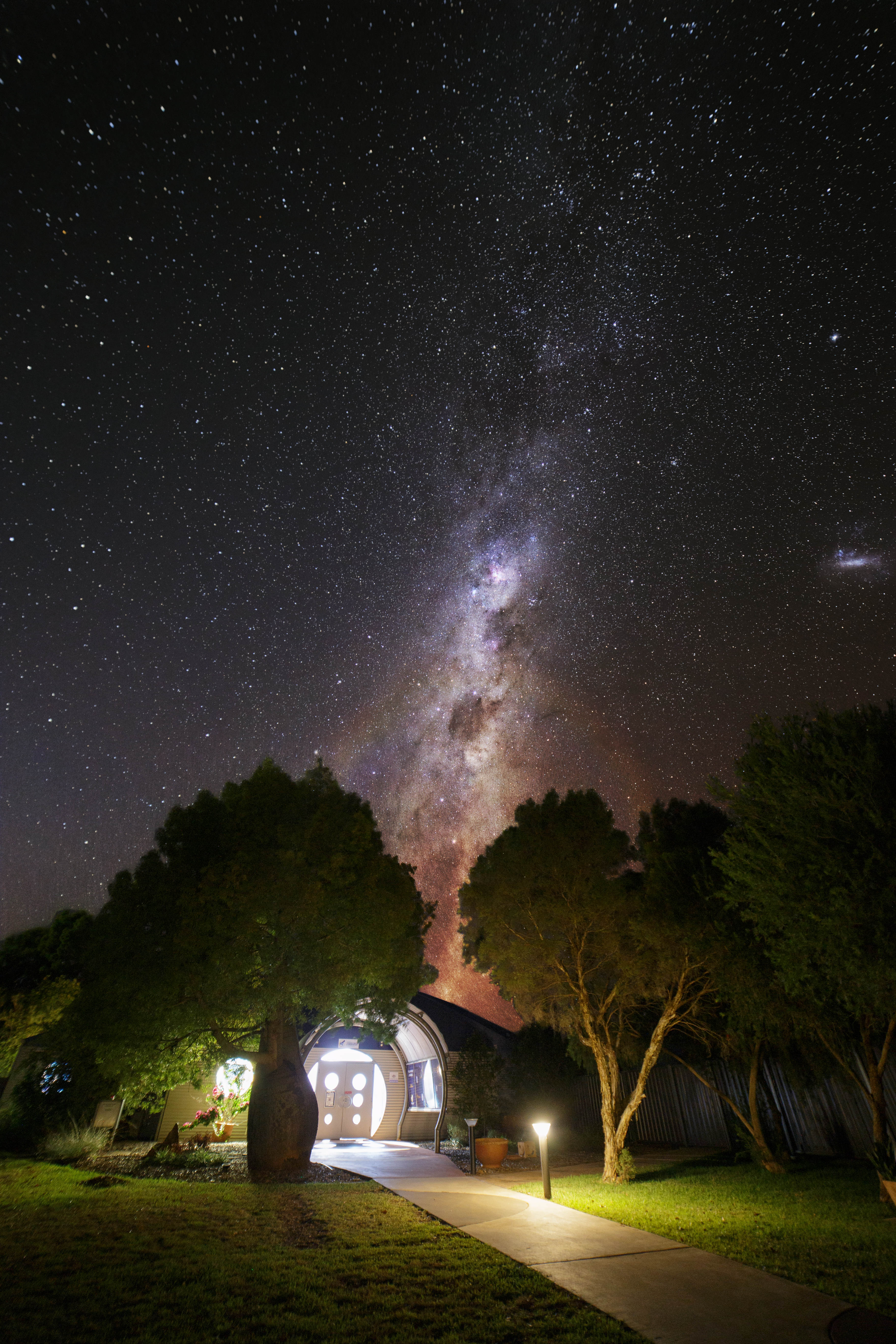 Cosmos front composite vivid.jpeg
